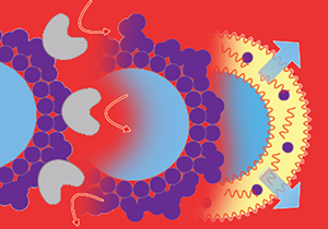 Daniel A. Hammer / Enzymes are Catalysts That Can Make Particles Move