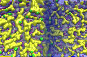 William F. Drayer / Measuring Water We Can’t See: experimental & simulated X-ray scattering on a precise polymer electrolyte